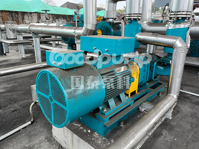 凸輪轉子泵在海水處理系統中的應用優(yōu)勢